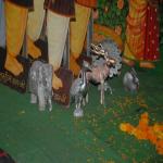 Vraj-Yatra-2014- (2338)